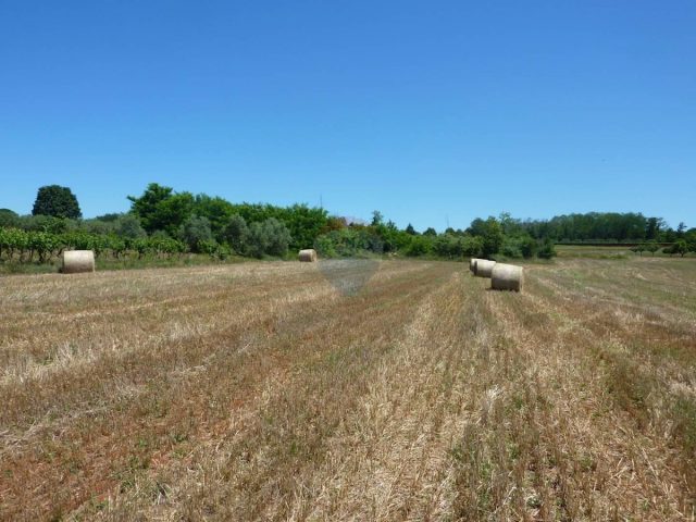 Terreno in vendita 7477 m² – Cerjani