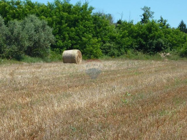Parcela Naprodaj - Istarska Kaštelir - foto 5/5