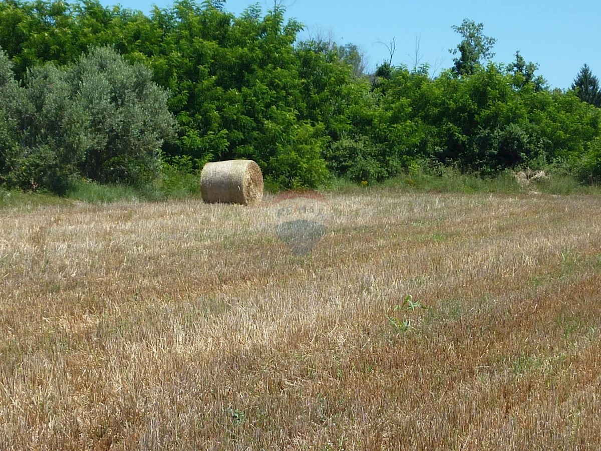 Parcela Naprodaj - ISTARSKA  Kaštelir