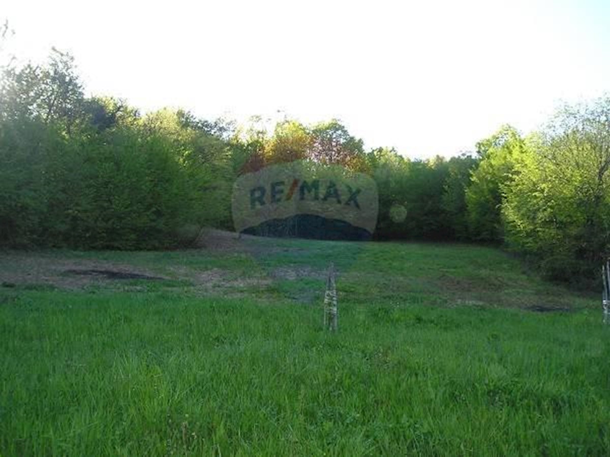 Terreno In vendita - ZAGREBAČKA  SAMOBOR 