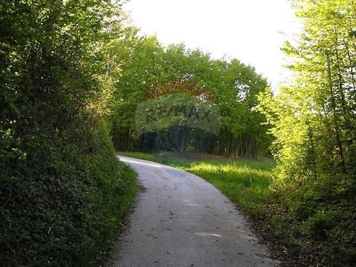 Terreno In vendita - ZAGREBAČKA  SAMOBOR 