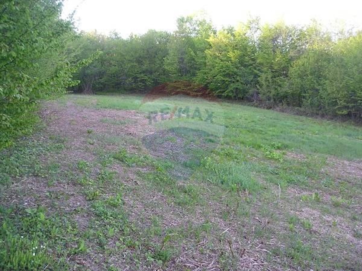 Terreno In vendita - ZAGREBAČKA  SAMOBOR 