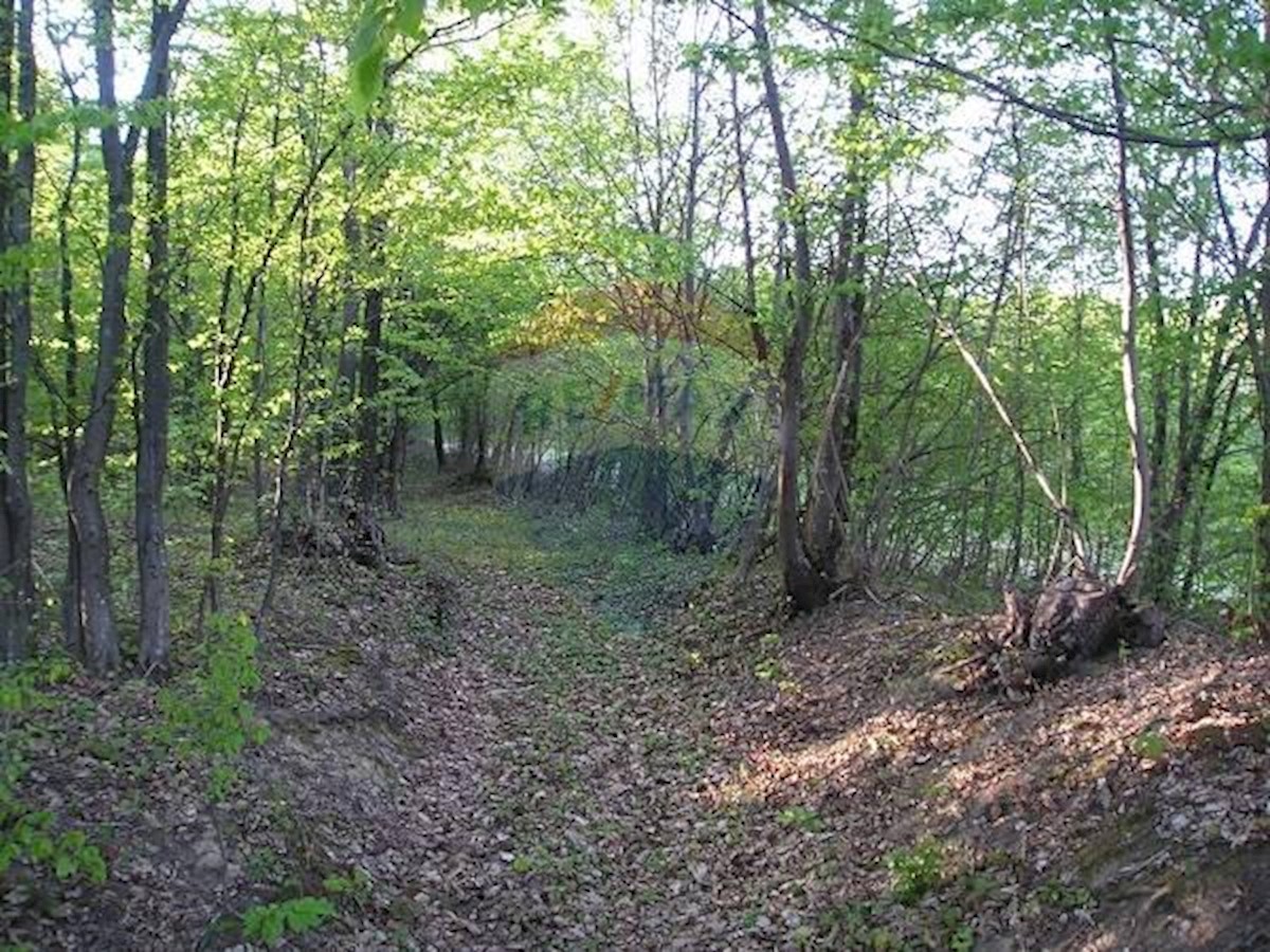 Zemljište Na prodaju - ZAGREBAČKA  SAMOBOR 