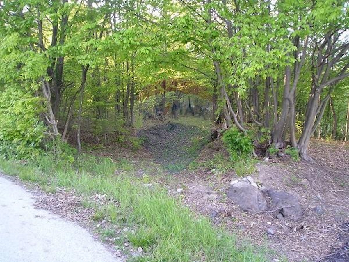 Terreno In vendita - ZAGREBAČKA  SAMOBOR 