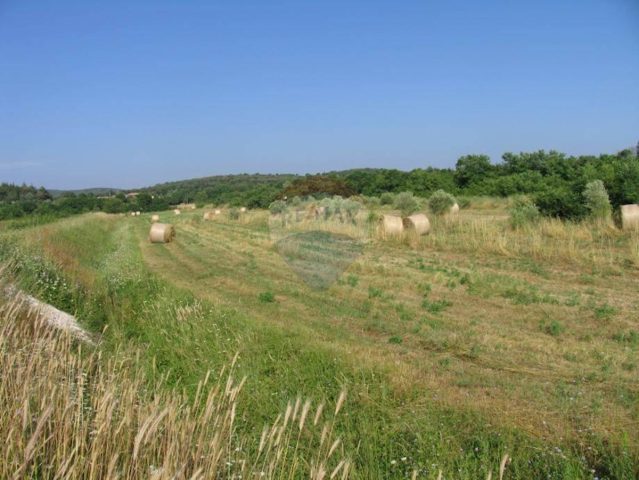 Land for sale 9743 m² – Rovinj