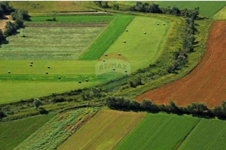 Terrain à vendre 42338 m² – Martinčići