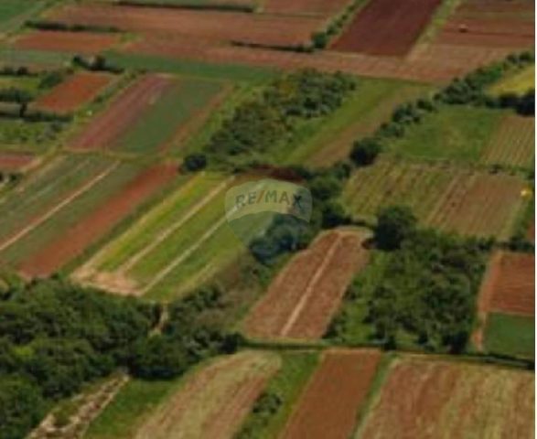 Parcela Naprodaj - Istarska Grožnjan - foto 2/2