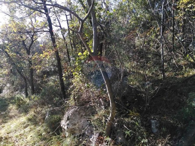 Zemljište Na prodaju - Primorsko-goranska Mošćenička Draga - foto 2/6