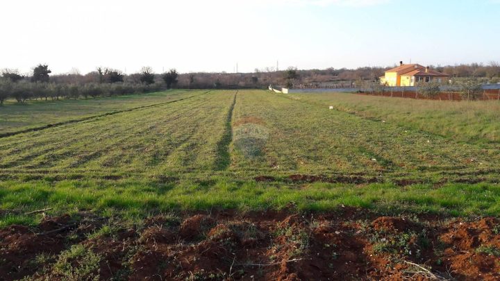 Terrain À vendre - Istarska Svetvinčenat - foto 3/3