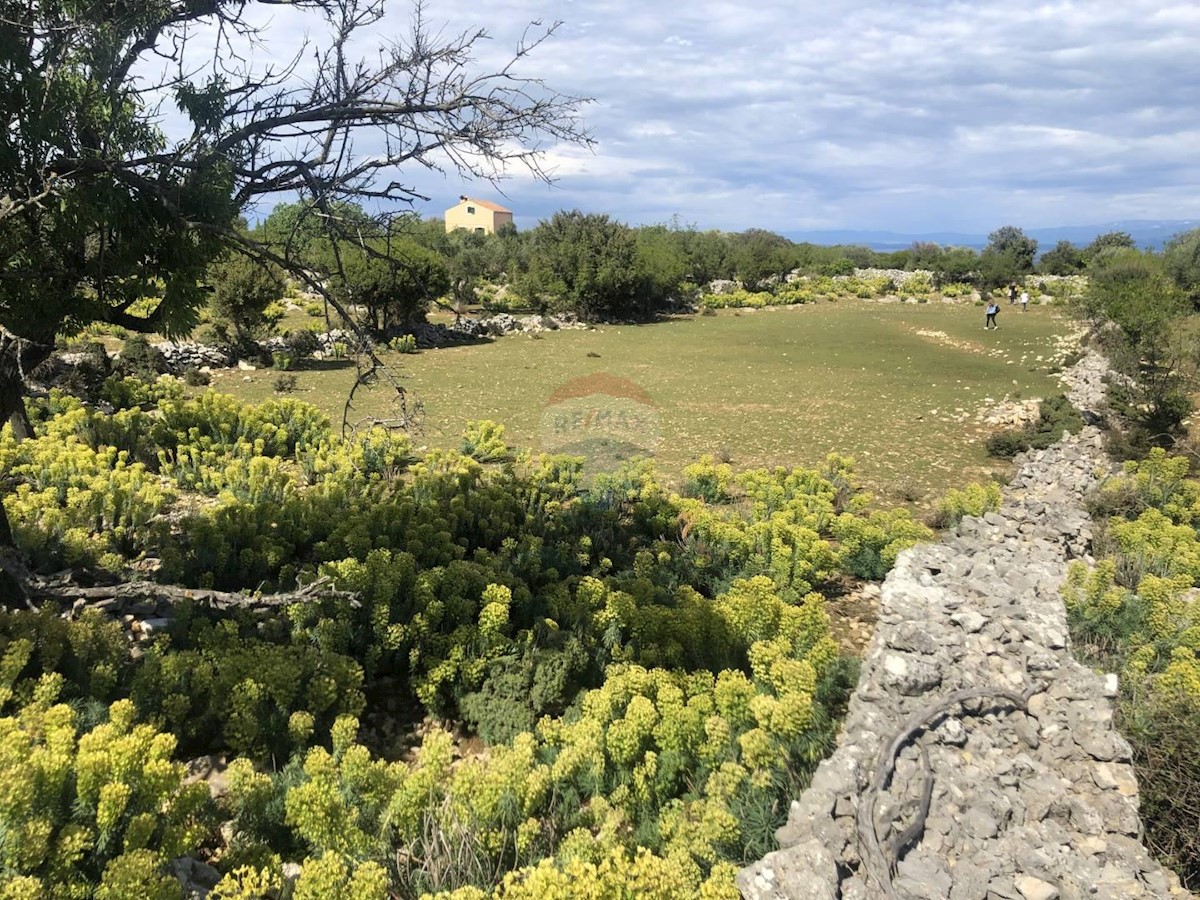 Terrain À vendre - PRIMORSKO-GORANSKA  MALI LOŠINJ 