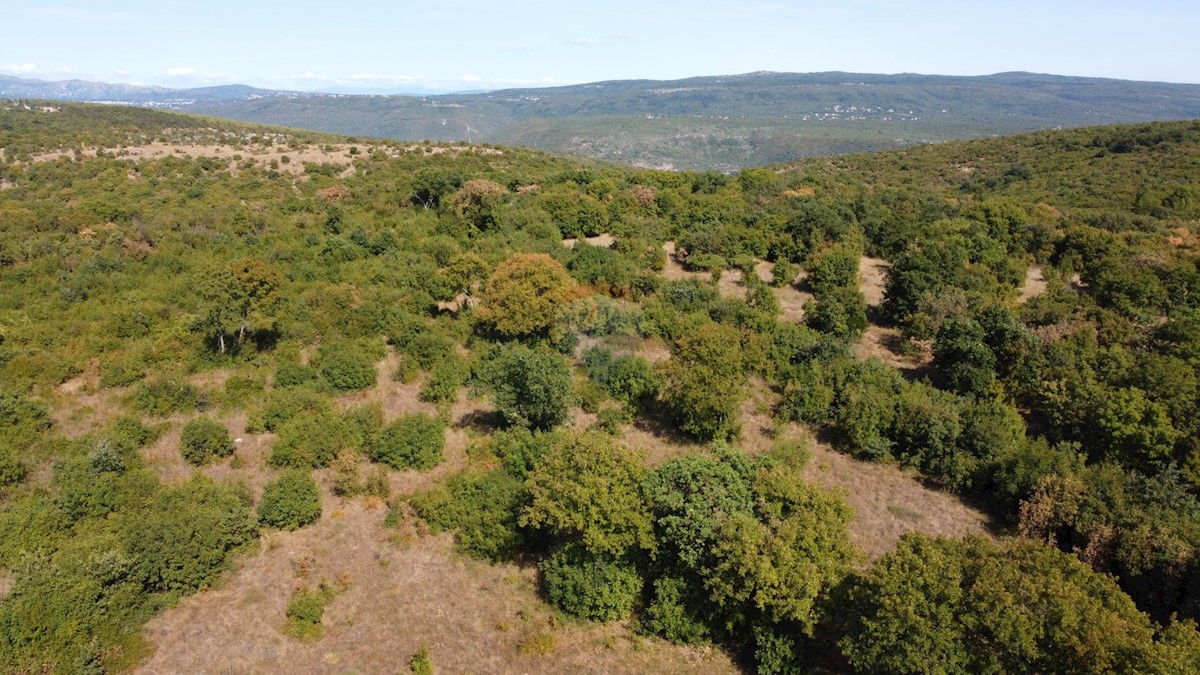 Parcela Naprodaj - ISTARSKA  Barban