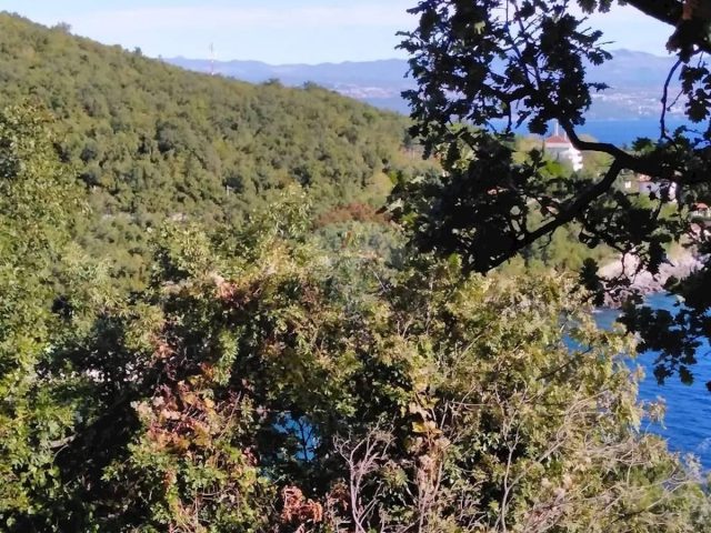 Parcela na predaj 10100 m² – Medveja
