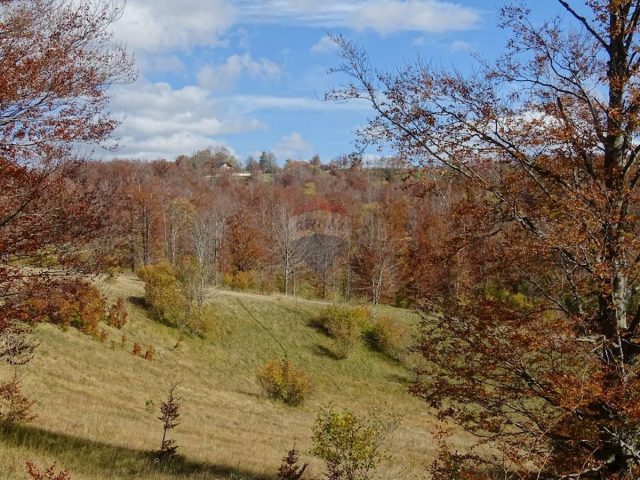 Land for sale 4557 m² – Mrkopalj