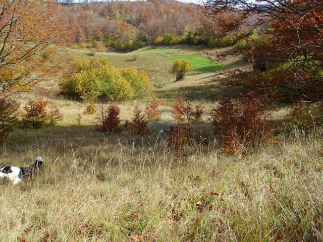 Parcela Naprodaj - Primorsko-goranska Mrkopalj - foto 4/7