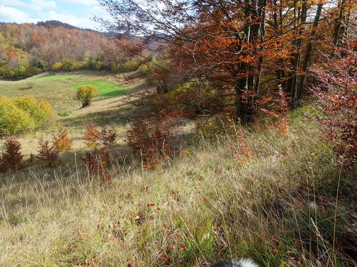 Zemljište Na prodaju - PRIMORSKO-GORANSKA  MRKOPALJ 