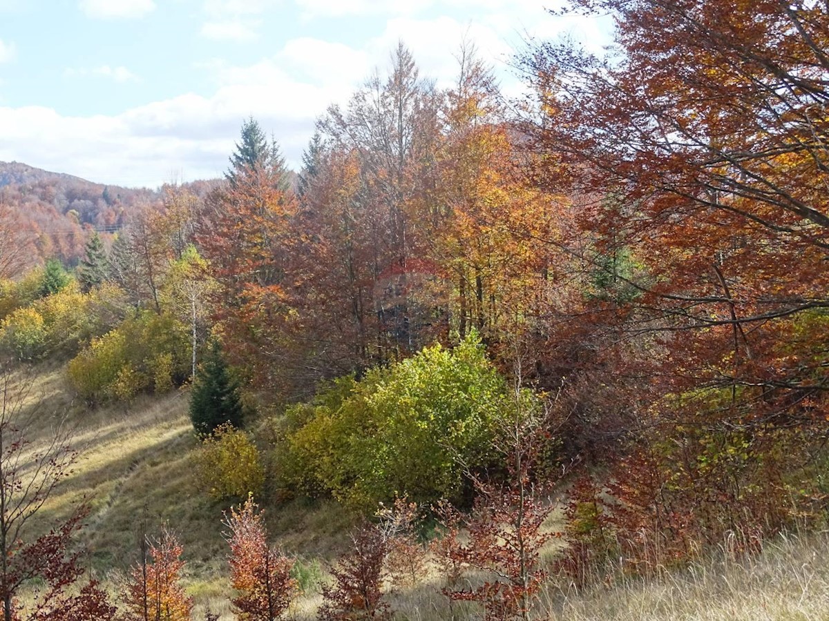 Zemljište Na prodaju - PRIMORSKO-GORANSKA  MRKOPALJ 