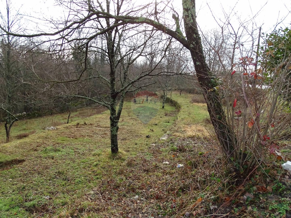 Terreno In vendita - Primorsko-goranska Kastav - foto 4/4