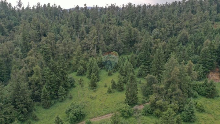 Land For sale FUŽINE