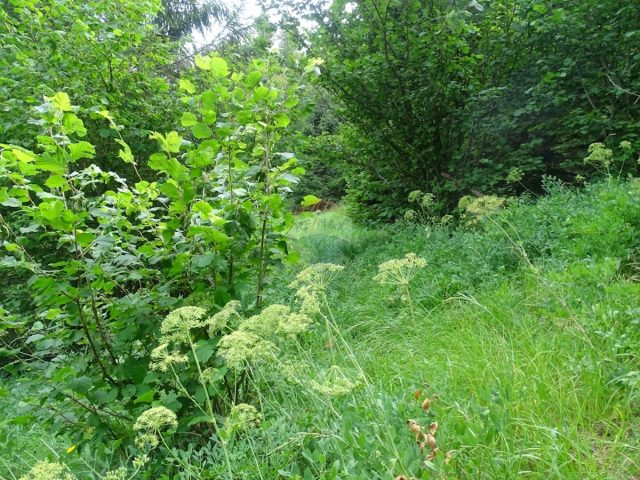 Terreno In vendita - Primorsko-goranska Fužine - foto 2/6