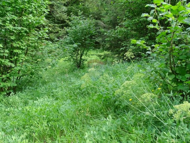 Terreno In vendita - Primorsko-goranska Fužine - foto 3/6