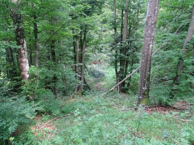 Terreno In vendita - Primorsko-goranska Fužine - foto 4/6