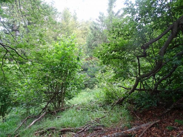Terreno In vendita - Primorsko-goranska Fužine - foto 5/6