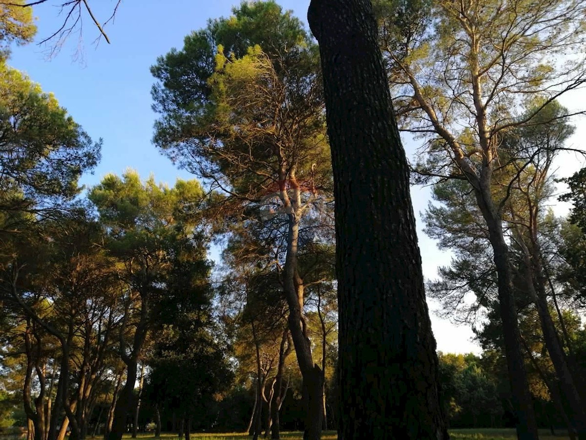 Grundstück Zu verkaufen - Istarska Rovinj - foto 1/4