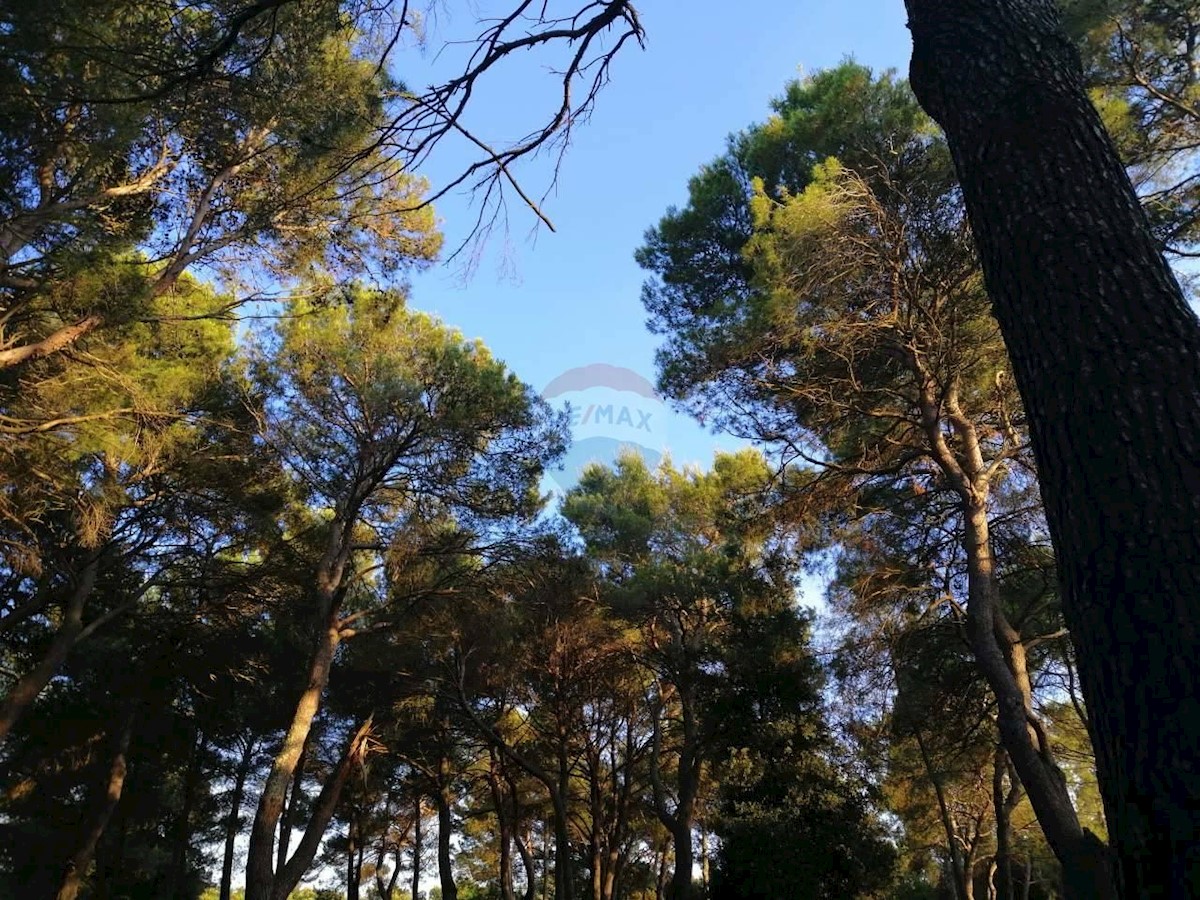 Grundstück Zu verkaufen - Istarska Rovinj - foto 3/4