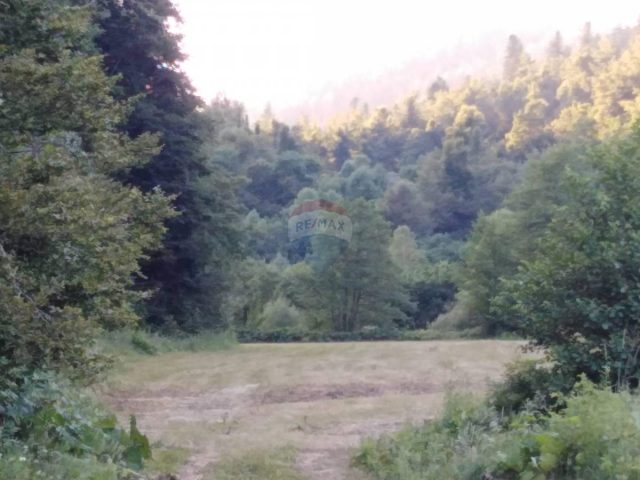 Land For sale FUŽINE