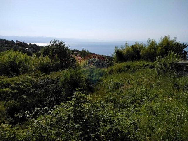 Terrain à vendre 1054 m² – Poljane