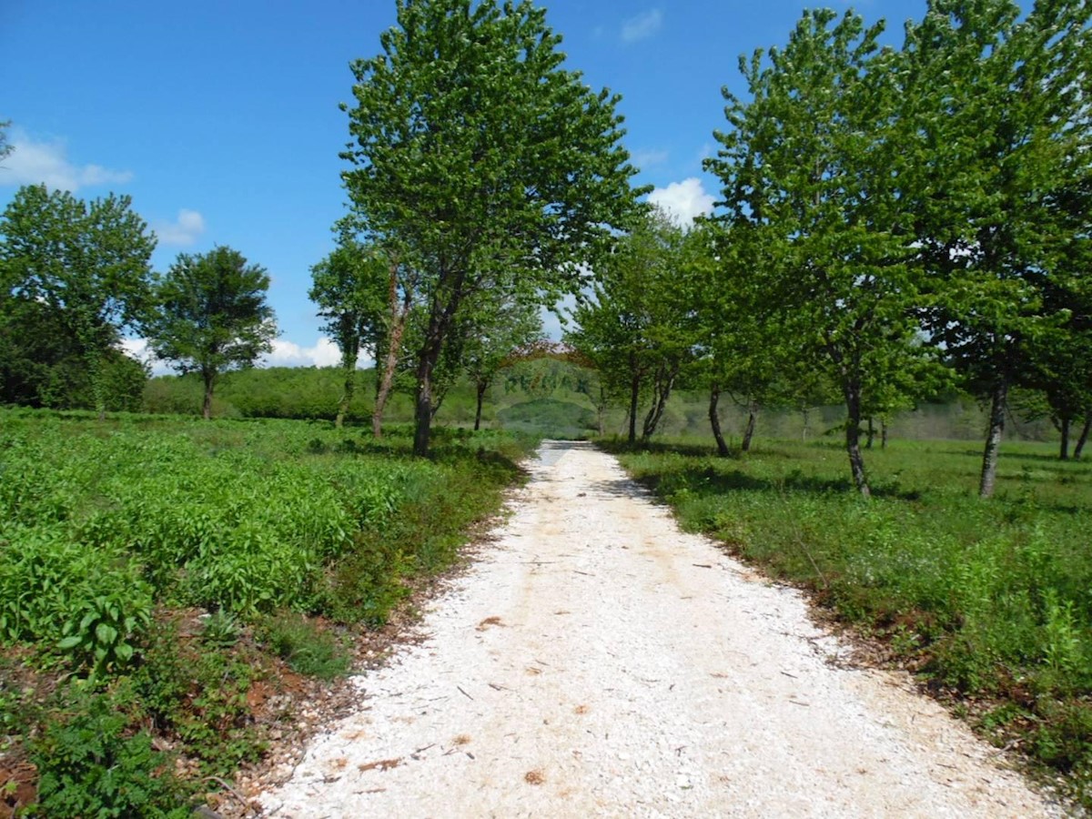 Zemljište Na prodaju - ISTARSKA  VIŽINADA 