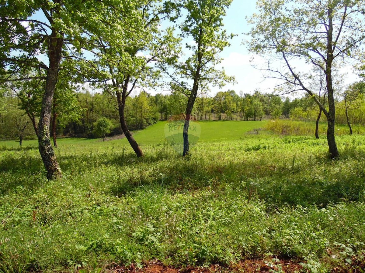 Parcela Naprodaj - ISTARSKA  Vižinada