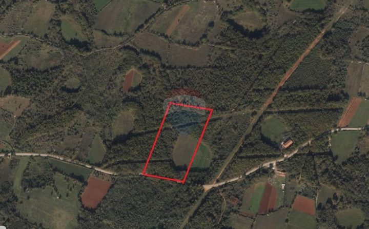 Land for sale 24517 m² – Vodnjan
