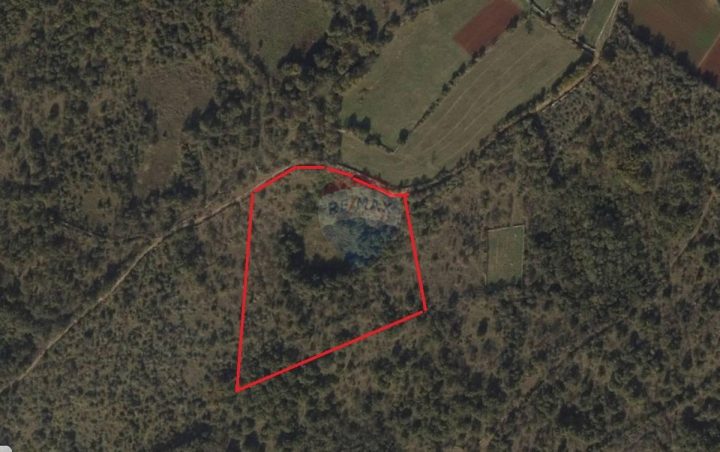 Zemljište na prodaju 12405 m² – Pinezići
