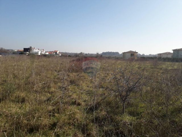 Land for sale 8388 m² – Vodnjan