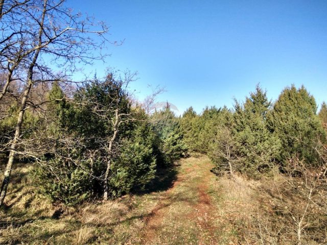 Land for sale 21027 m² – Vodnjan