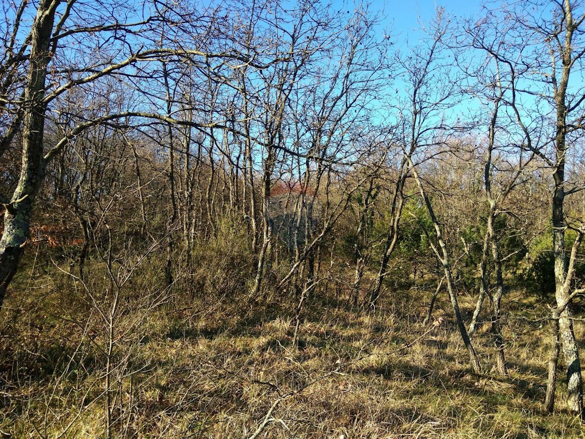 Działka Na sprzedaż - ISTARSKA  VODNJAN 