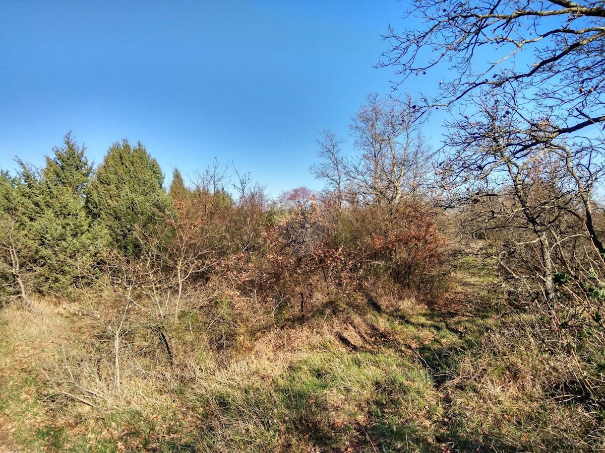 Pozemok Na predaj - ISTARSKA  Vodnjan
