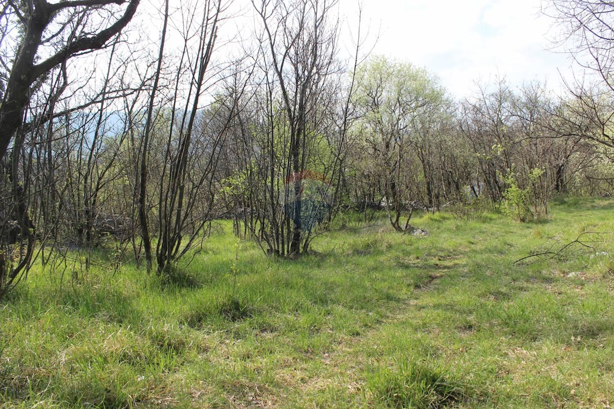 Land For sale - PRIMORSKO-GORANSKA  JELENJE 