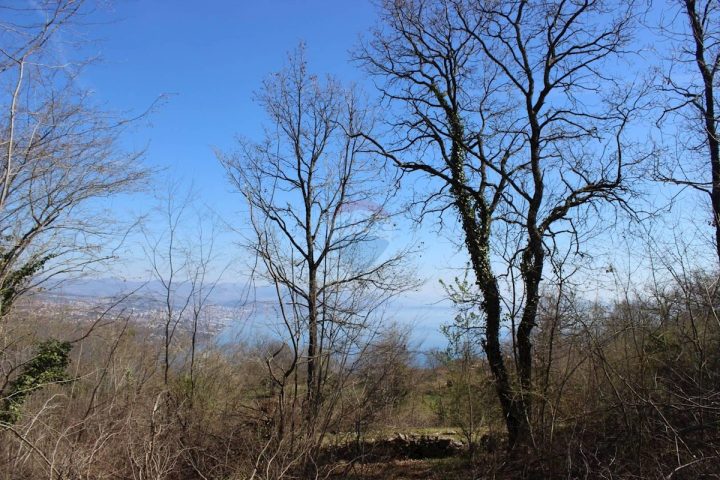Terreno in vendita 5562 m² – Bregi