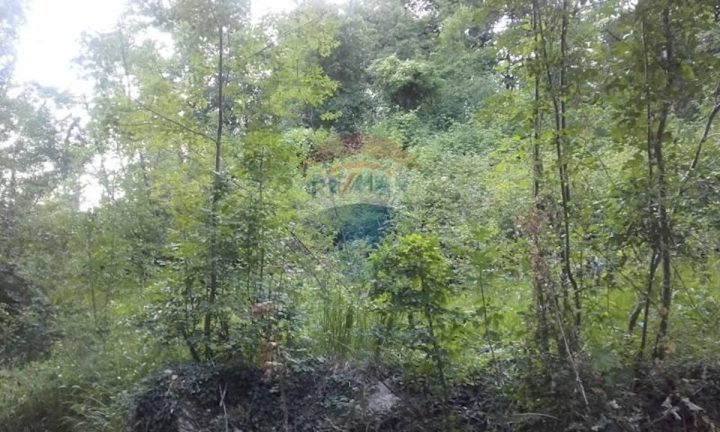 Terreno in vendita 11855 m² – Rukavac