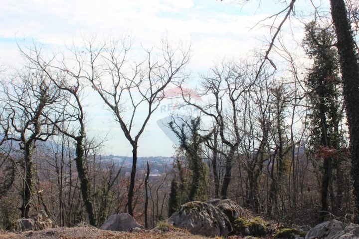 Land For sale - Primorsko-goranska Matulji - foto 4/7