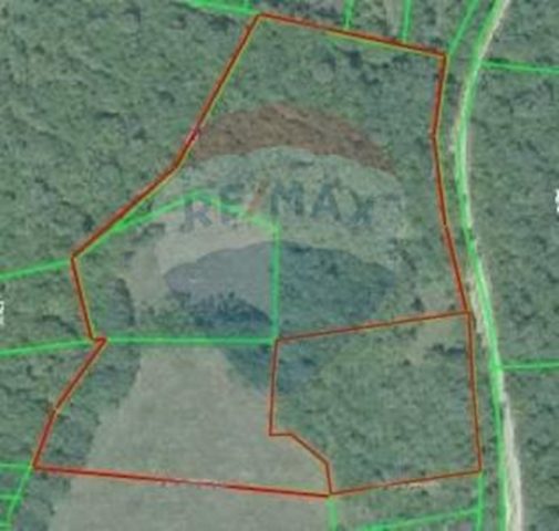 Grundstück zu verkaufen 14723 m² – Sveti Lovreč Pazenatički