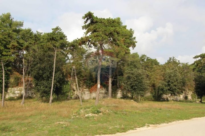 Grundstück Zu verkaufen - Istarska Tar-vabriga - foto 2/24