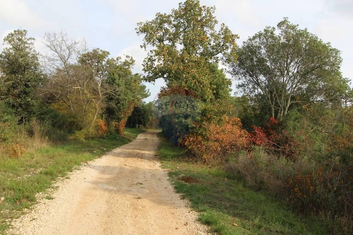 Terreno In vendita - ISTARSKA  TAR-VABRIGA 