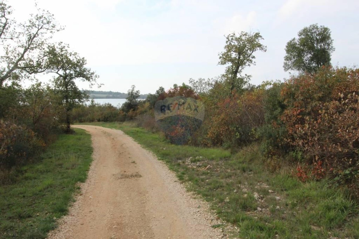 Pozemok Na predaj - ISTARSKA  TAR-VABRIGA 