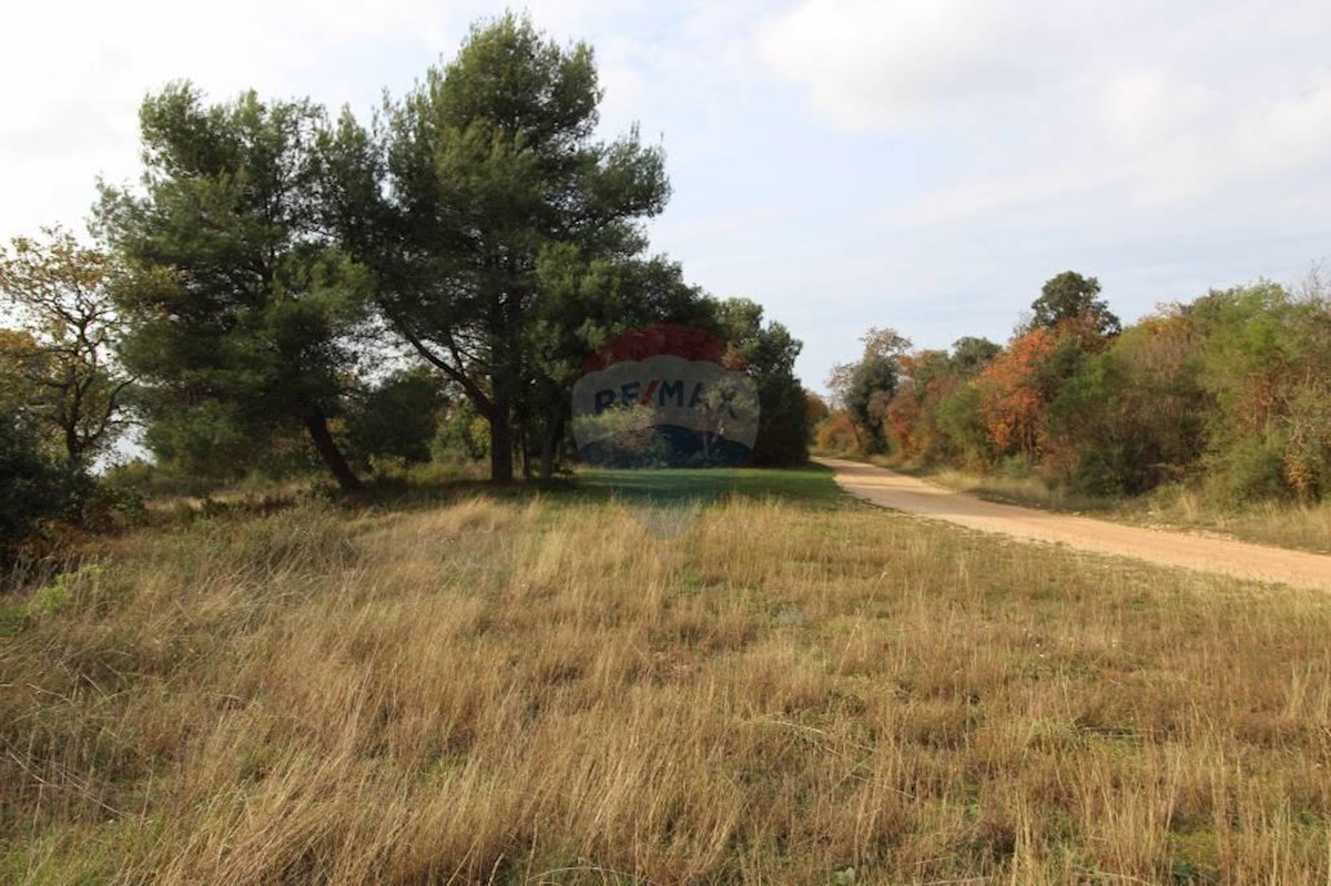 Terreno In vendita - ISTARSKA  TAR-VABRIGA 