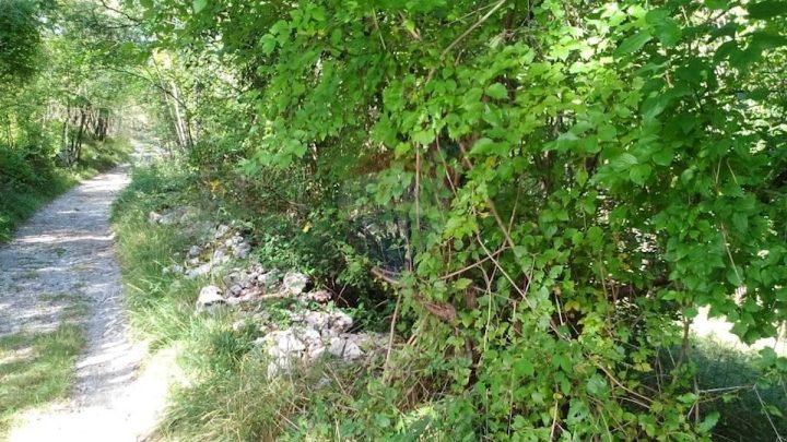 Pozemok na predaj 8405 m² – Kastav