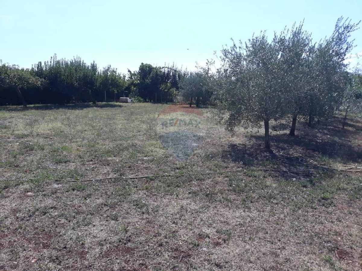 Hiša Naprodaj - ISTARSKA  Umag