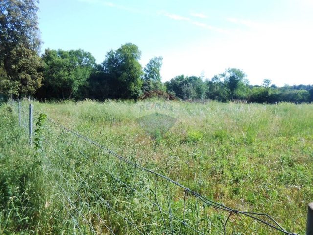 Land For sale - Istarska Pula - foto 4/4